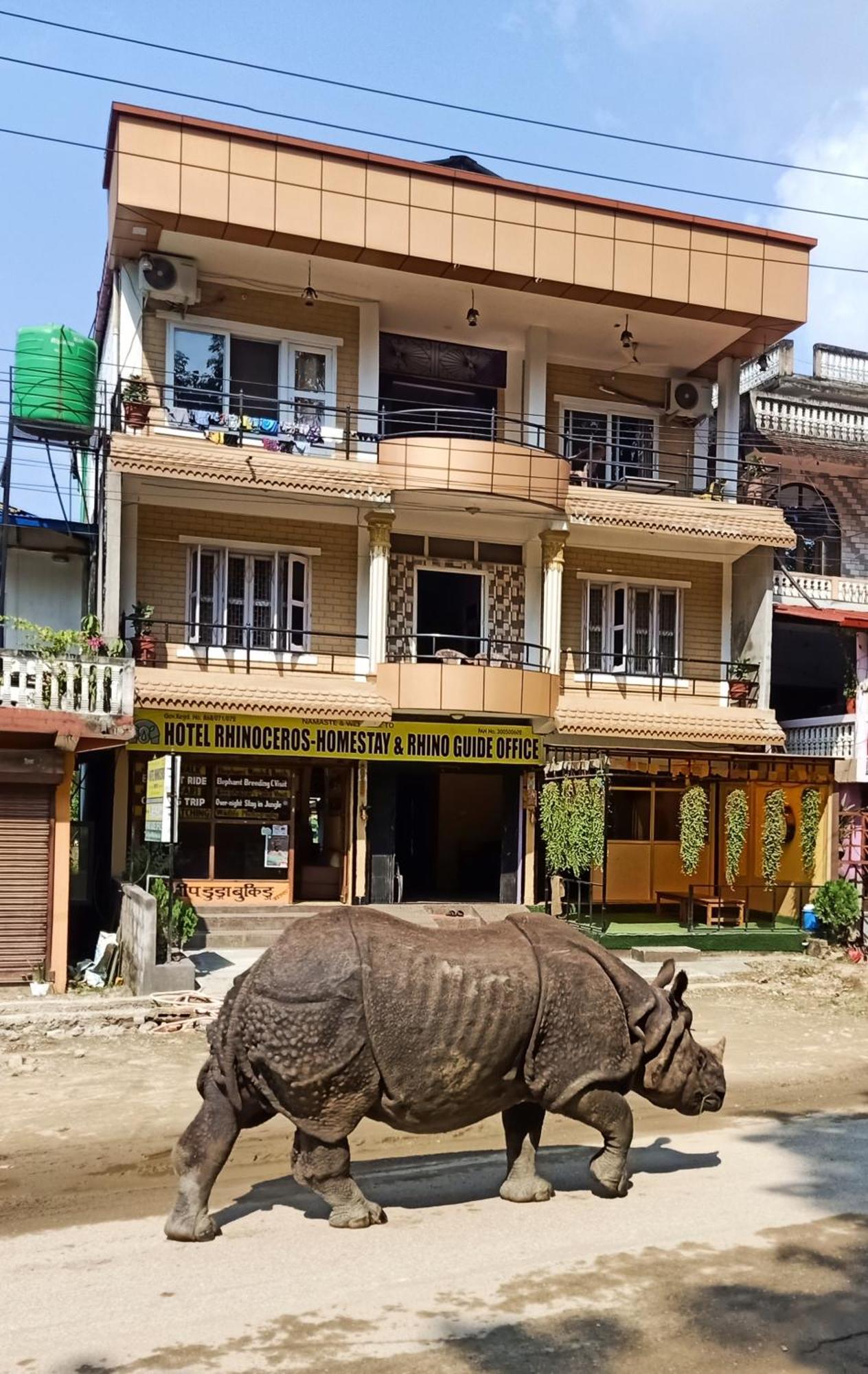 Hotel Rhinoceros-Homestay Саураха Экстерьер фото